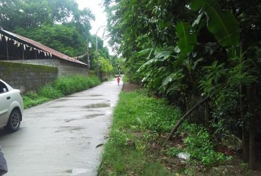 Lot for Sale