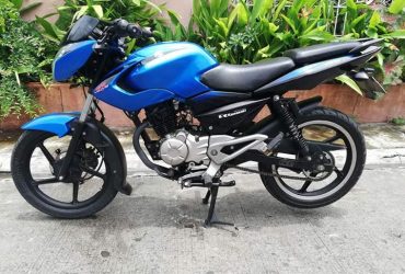 Kawasaki rouser 135(2015model)