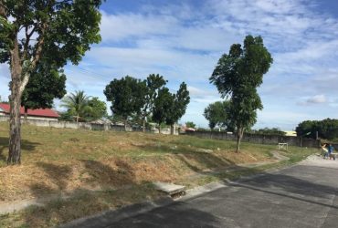 Lot for Sale in Angeles City Woodland Subd 470sqm