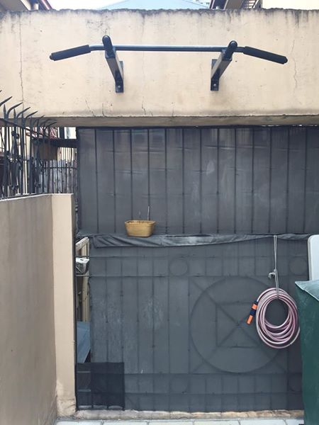 Wall mounted pull up bar