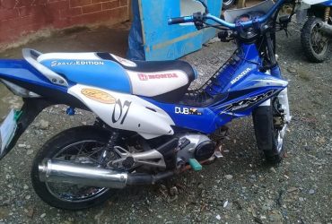 xrm trinity.model 2010.