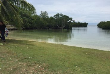 BeachLot for Sale