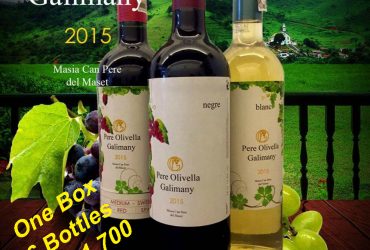 Pere Olivella Galimany Wine