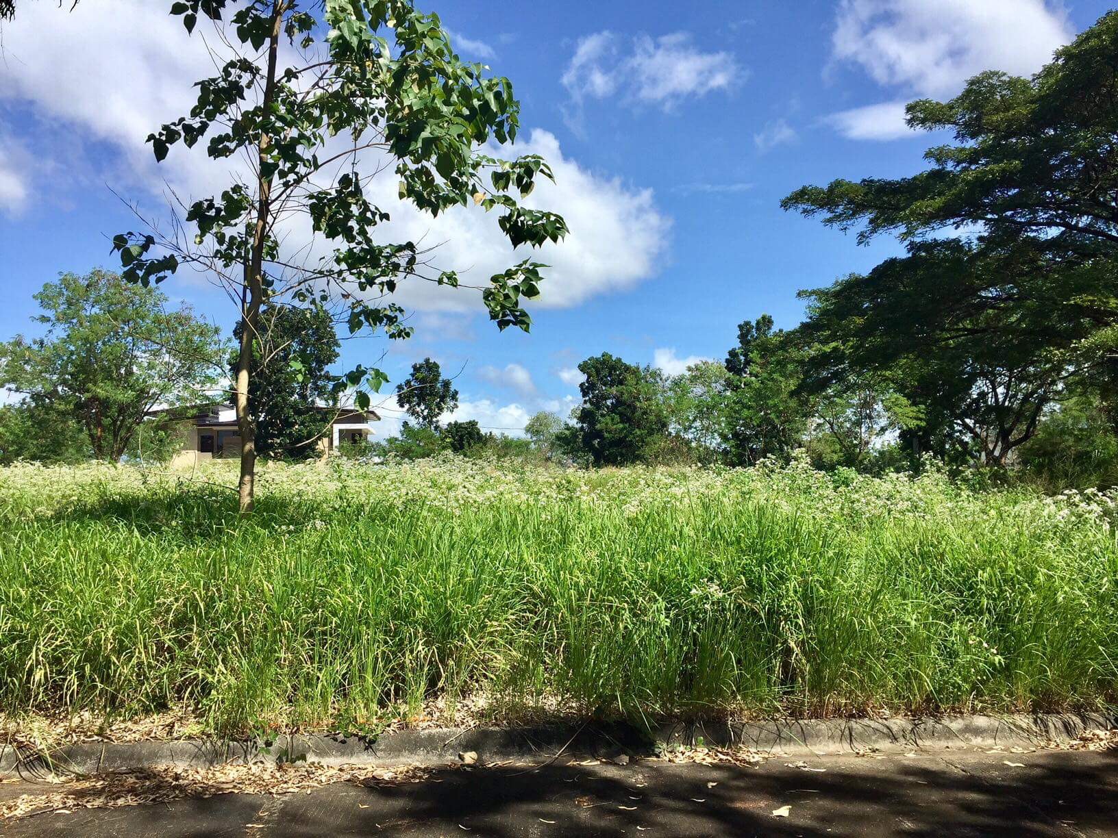 Rush Sale!!  Mission Hills, Sta. barbara, Havila, Antipolo City. 1,287 sqm. P8,000 per sqm.