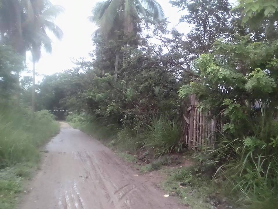 Lot For Sale