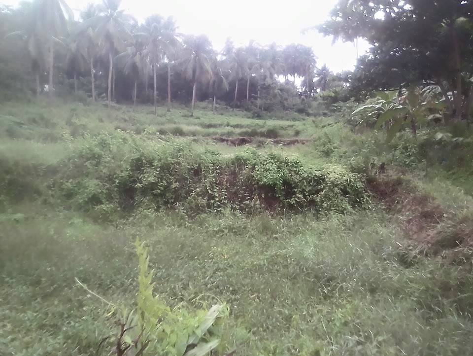 Lot For Sale