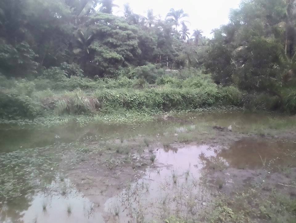 Lot For Sale