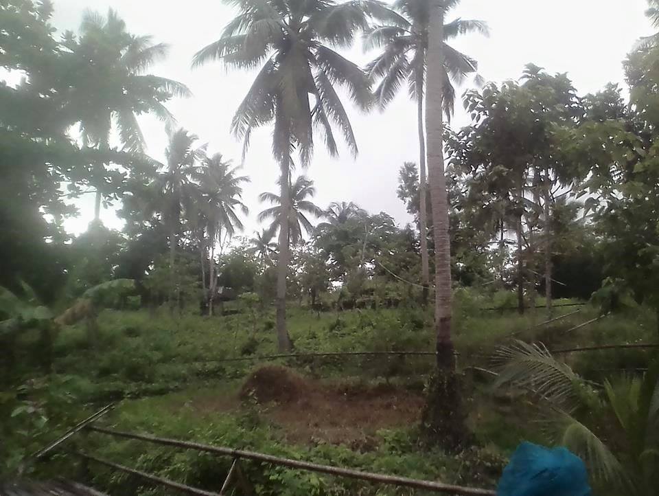 Lot For Sale