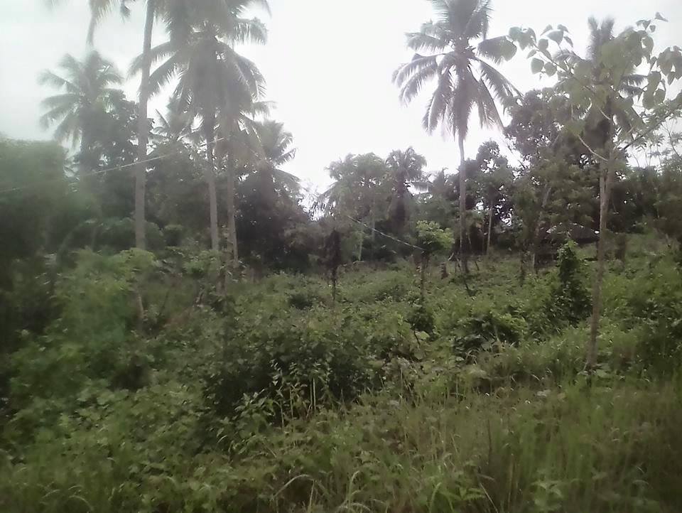 Lot For Sale