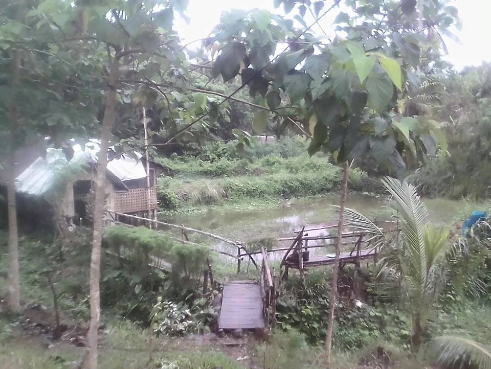 Lot For Sale