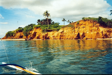 Bicol sorsogon Near Donsol 45 hectares 200 per square