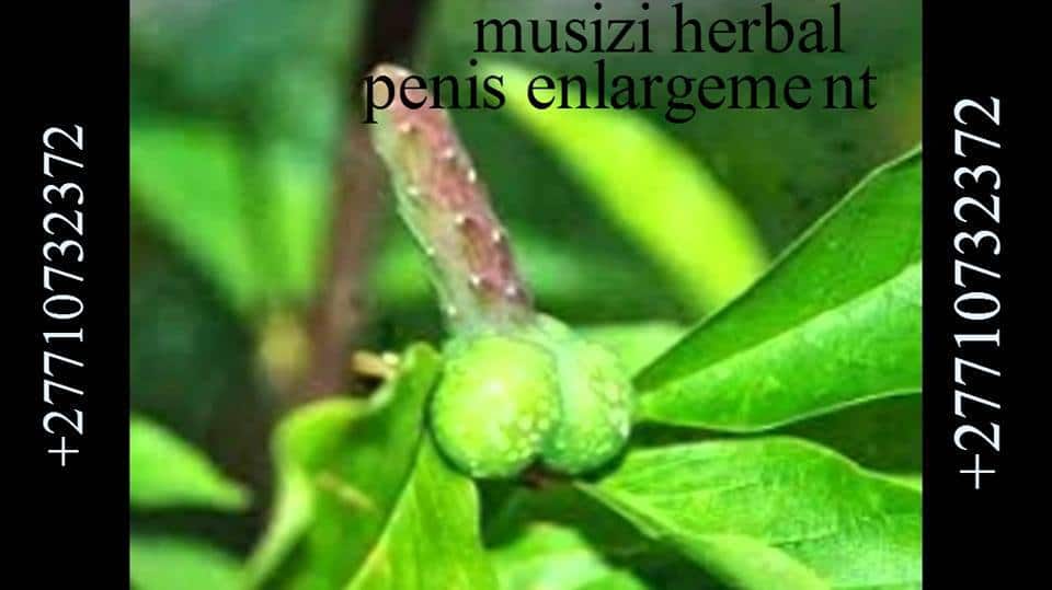 Waki Penis Enlargement Pdts Call +27710732372