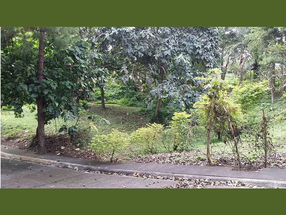 Lot for sale at  the heart of  TAGAYTAY CITY…