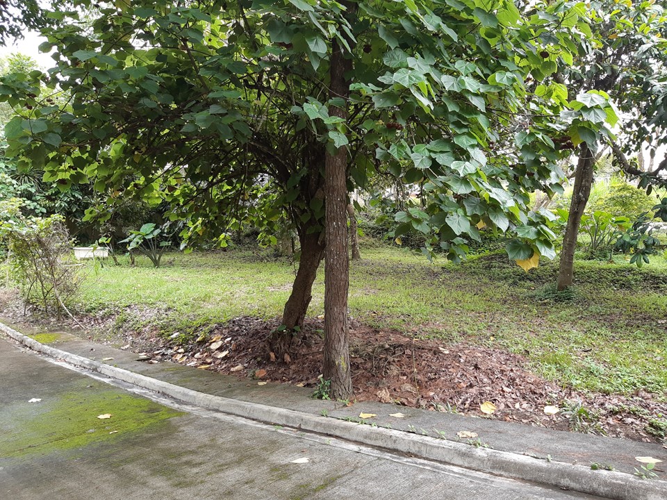 Lot for sale at  the heart of  TAGAYTAY CITY…