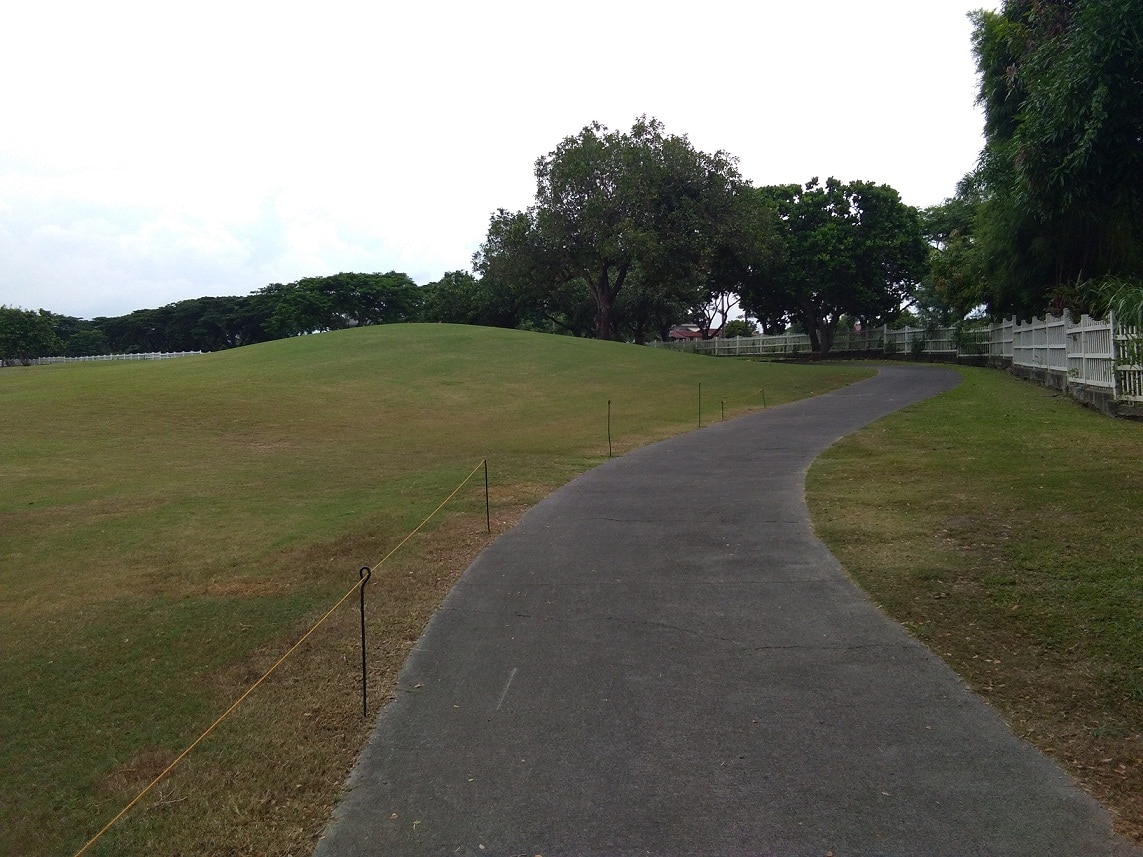 Lot for Sale Luxury Living The Orchard Dasmarinas Cavite
