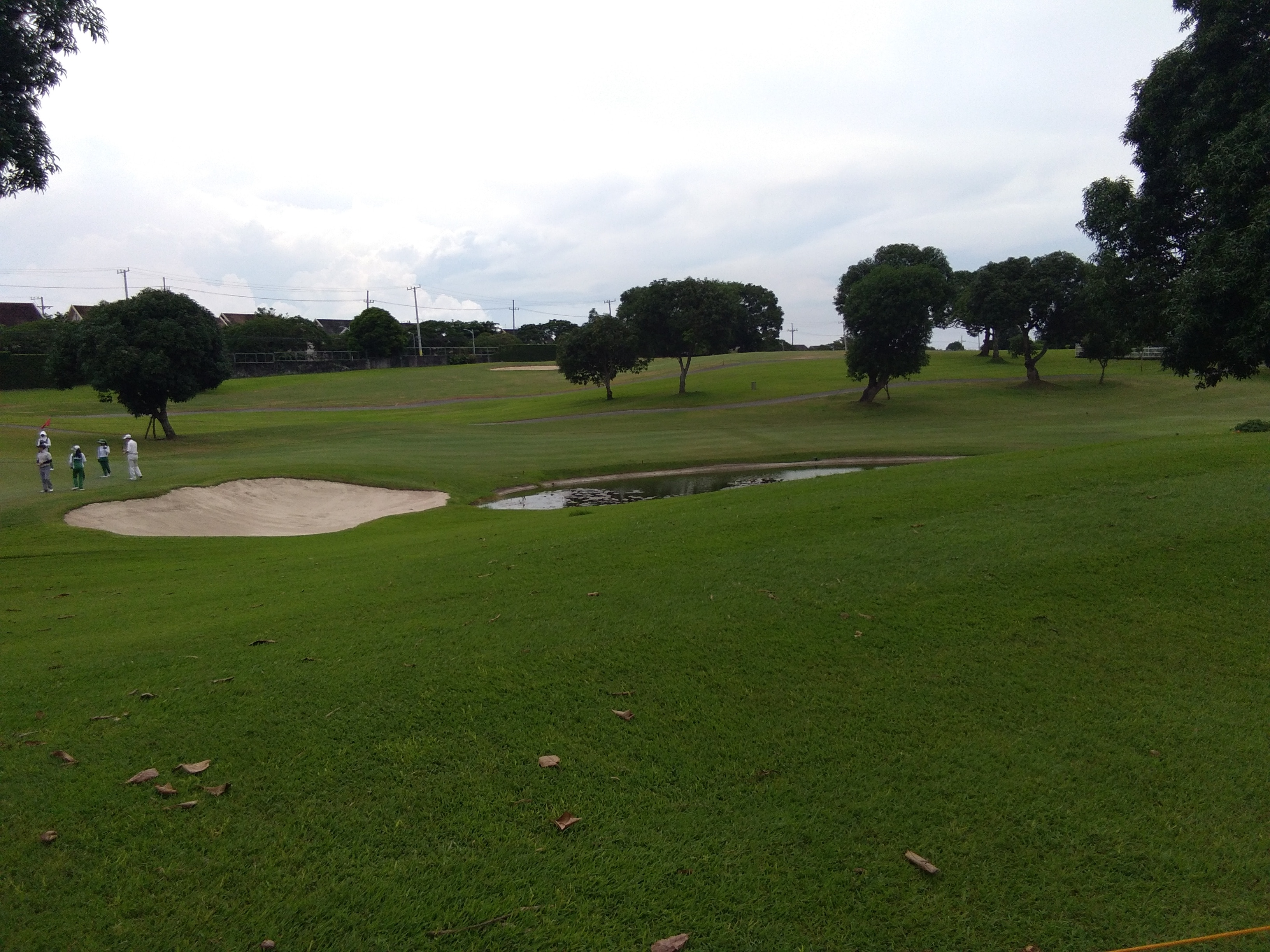 Lot for Sale Luxury Living The Orchard Dasmarinas Cavite
