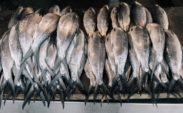 Bangus Supplier