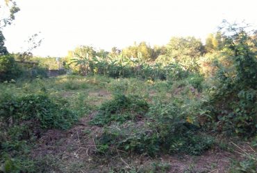 Farmlot