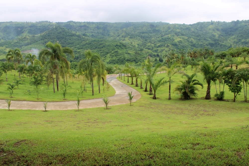 House and Lot, Pulu Amsic, Angeles city. https://www.puluamsichomesforsale.com/