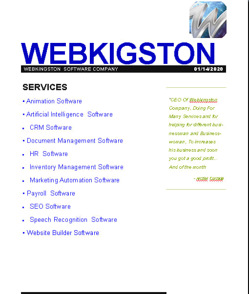 Webkingston Ad's Google