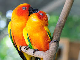 Bring Back Lost Love Spells +27670093205