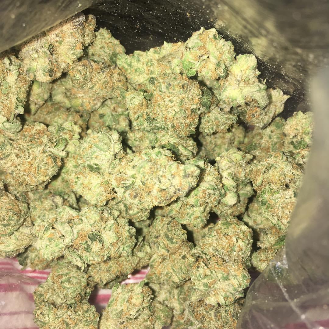 add on snapchat..420kush_life20