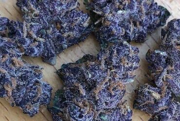 buy weed online