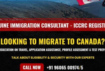 Immigration Consultants in Bangalore – novusimmigration. (Bangalore)